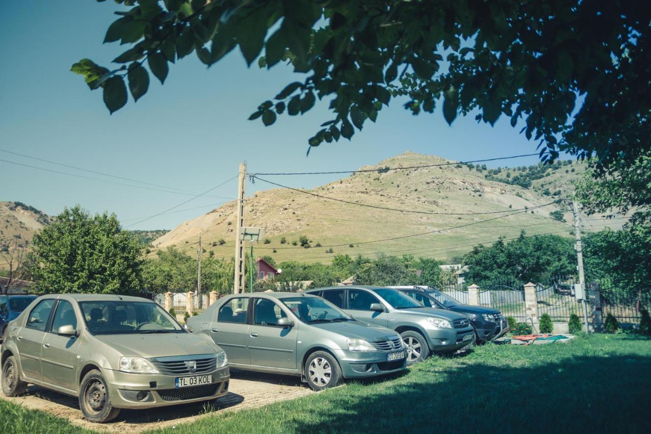 Pensiunea La Nenea Iancu Greci Exterior foto