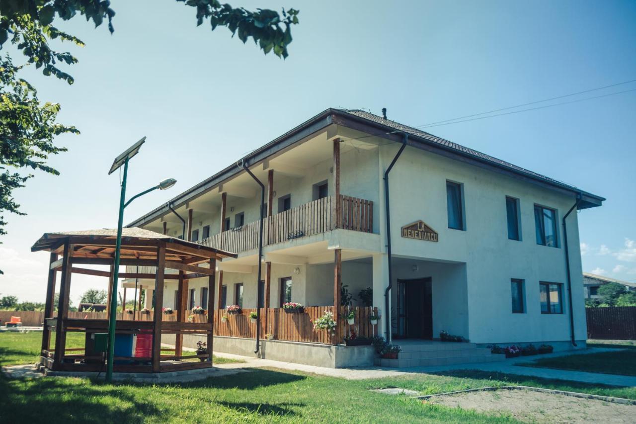 Pensiunea La Nenea Iancu Greci Exterior foto